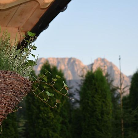 Villa Fiedorówka Zakopane Exterior foto