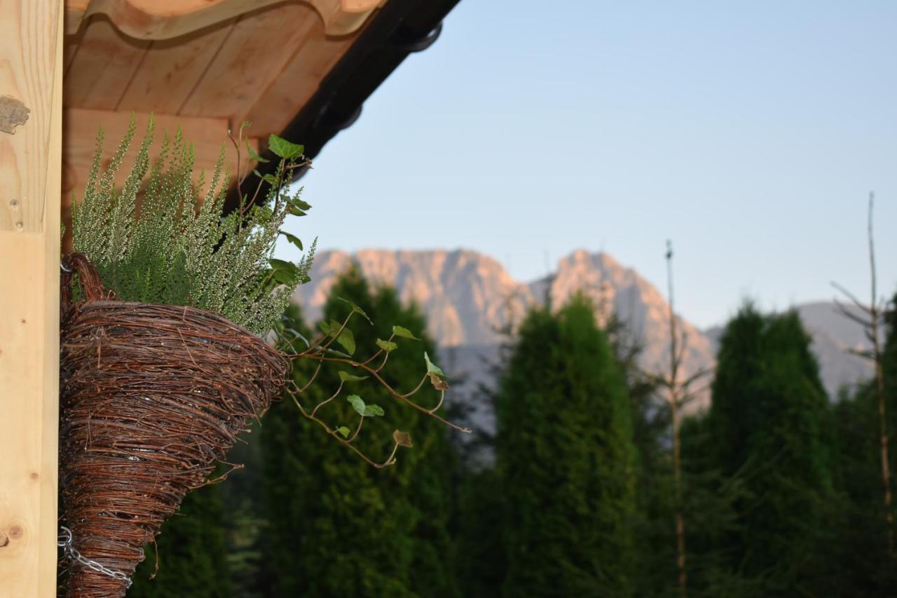 Villa Fiedorówka Zakopane Exterior foto