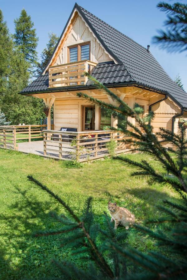 Villa Fiedorówka Zakopane Exterior foto