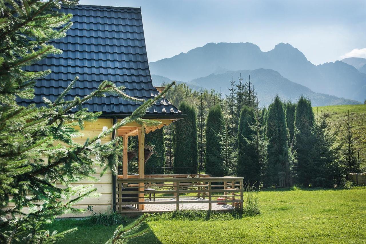 Villa Fiedorówka Zakopane Exterior foto