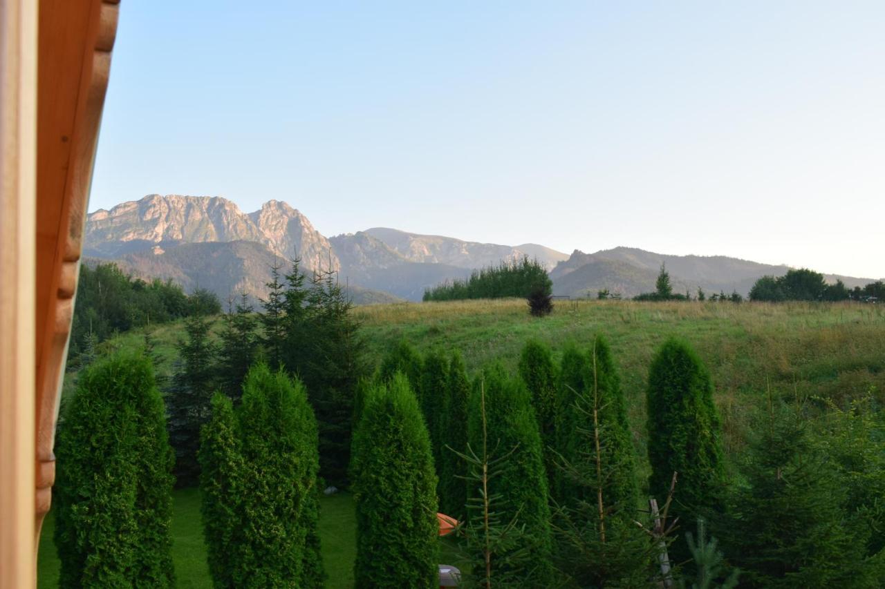 Villa Fiedorówka Zakopane Exterior foto