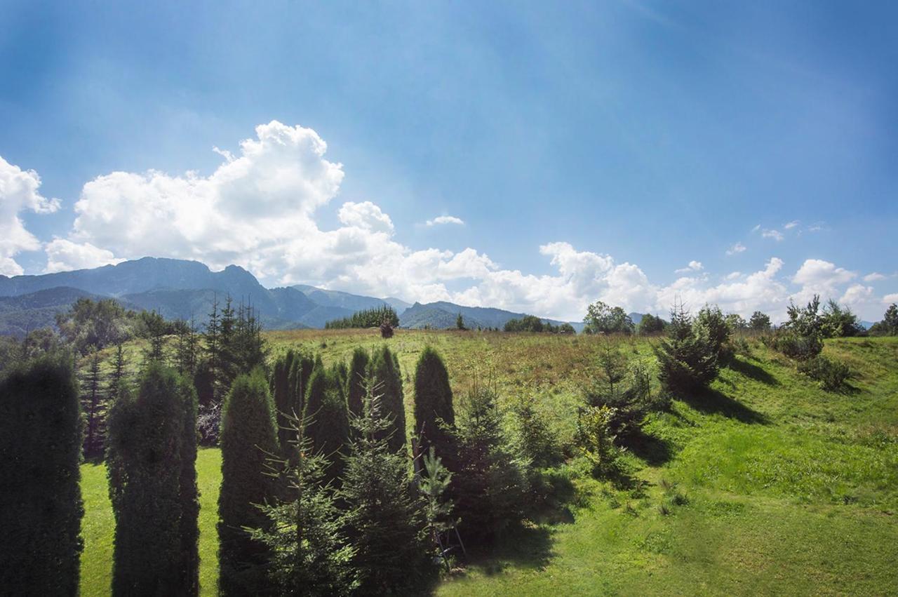 Villa Fiedorówka Zakopane Exterior foto